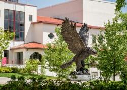 校园鹰雕像